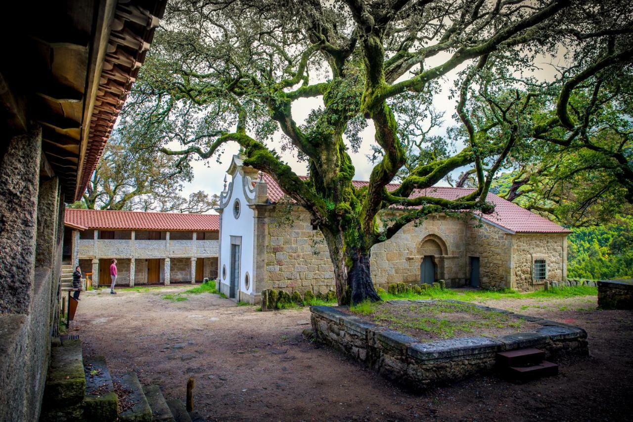 Вілла Casas Da Loureira - Casa Do Antonio E Pascoal Віла-Нова-де-Сервейра Екстер'єр фото
